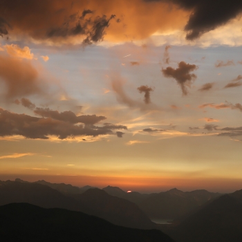 IMG_3104