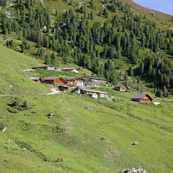 IMG_7229