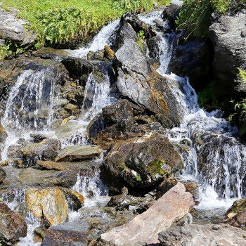IMG_7272