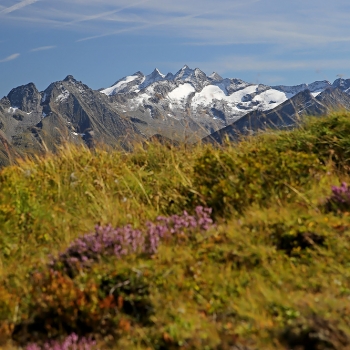 IMG_7289