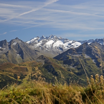 IMG_7296
