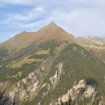 IMG_8129