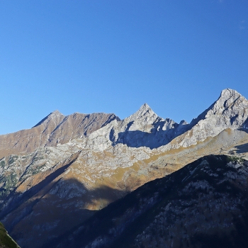 IMG_8580