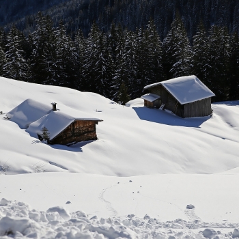 IMG_0148