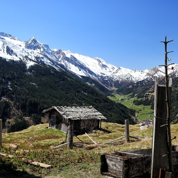 Tuxertal8