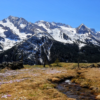 Tuxertal12