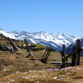 Tuxertal16