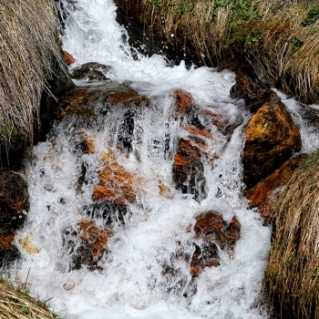 Tuxertal20