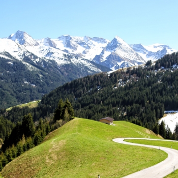 Tuxertal29