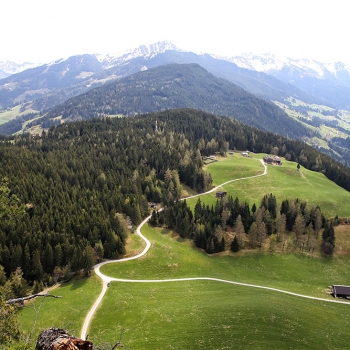 24. Reither Kogel
