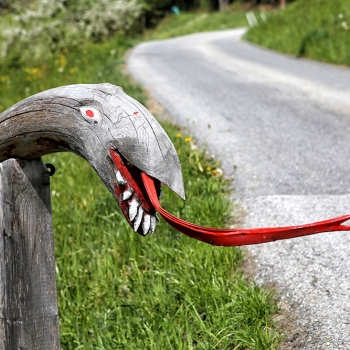 IMG_3028
