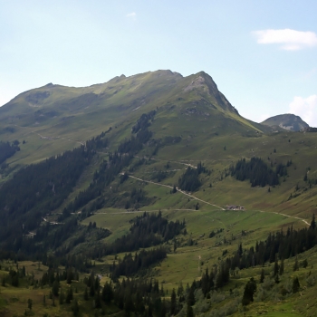 IMG_5361