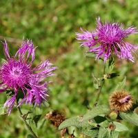 29-08-14 Stilluppgrund