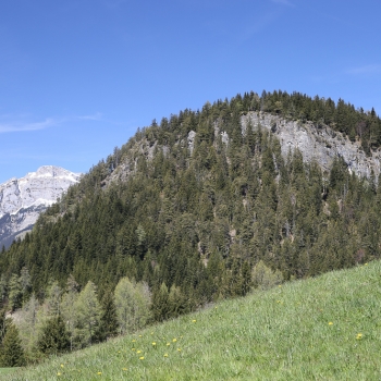 09. Von Hart zum Reither Kogel
