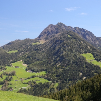 IMG_4477