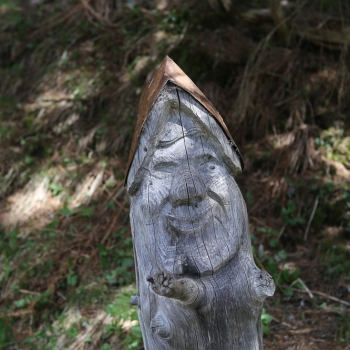 10. Ginzling - Wandegg