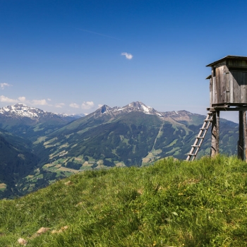 17. Wiedersberger Horn