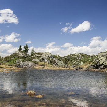 24. Ahorn - Edelhütte