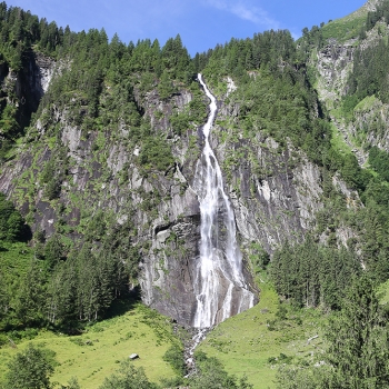 IMG_7013