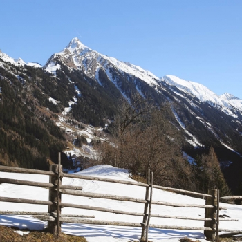 IMG_5984