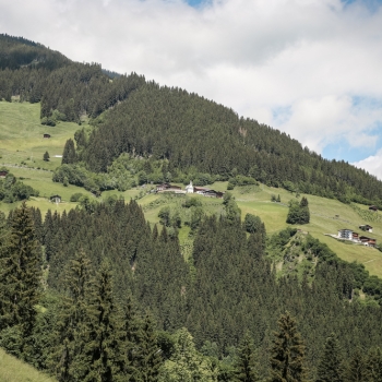 IMG_8339