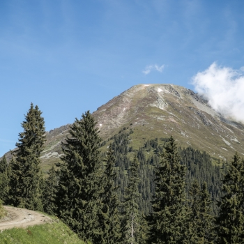 IMG_8404