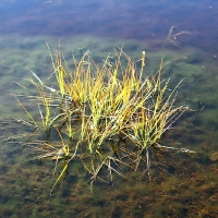 IMG_7306