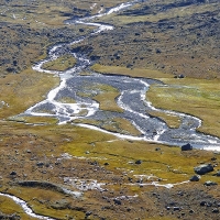 P1020050