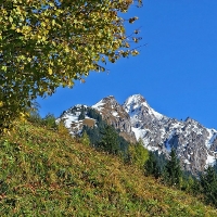 IMG_8446