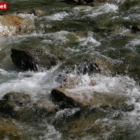15-05-12 Ginzling - Dornauberg