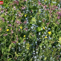 05-06-12 Zillertaler Höhenstrasse