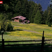 18-06-12 Aschau - Distelberg
