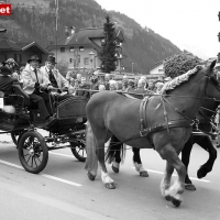 Bild063