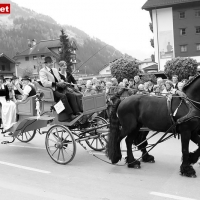 Bild084