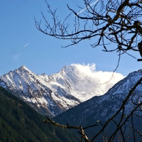 14-11-14 Im Zillergrund