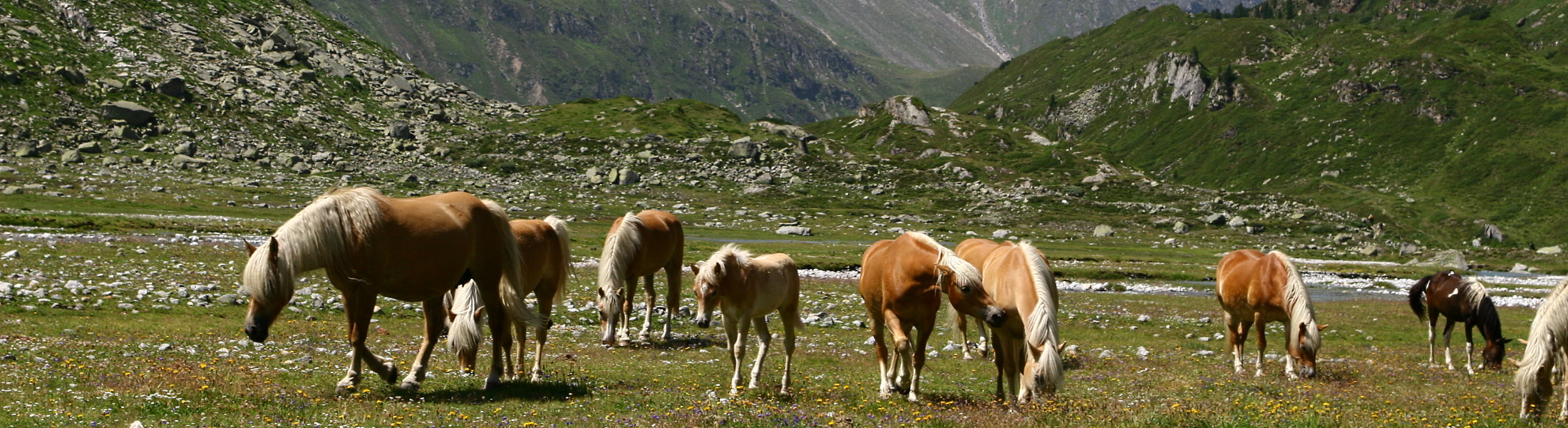 Hochgebirgs-Naturpark Zillertaler Alpen