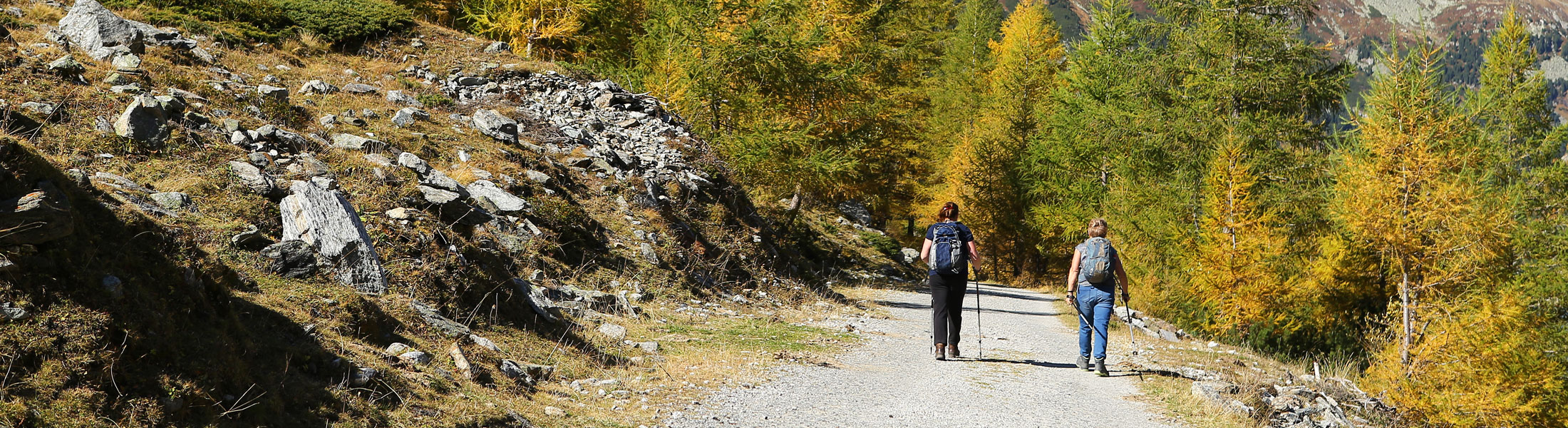Wandern