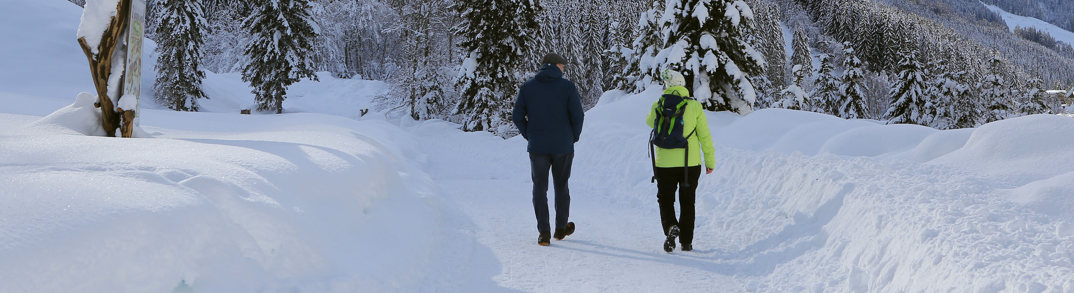 Winterwandern