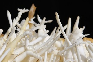 Mineralien Mineralien Granat