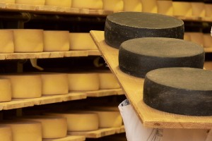 Heumilchsennerei Fügen