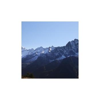 14. Ahorn - Mayrhofen