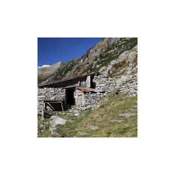 11. Zillergrund - Plauener Hütte