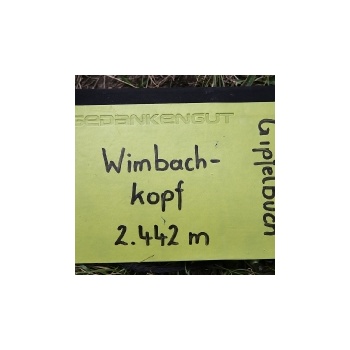 11. Wimbachkopf